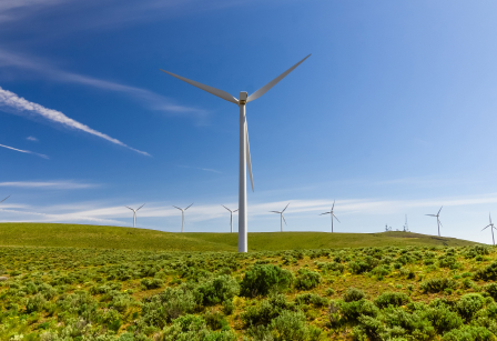 Windmill in a field.