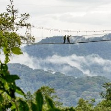 Two people walking over a bridge in a forest.